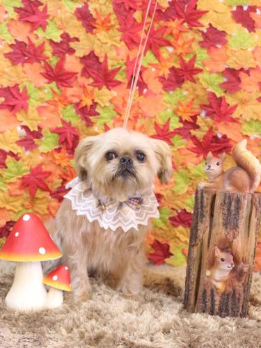 20241103ムーくん